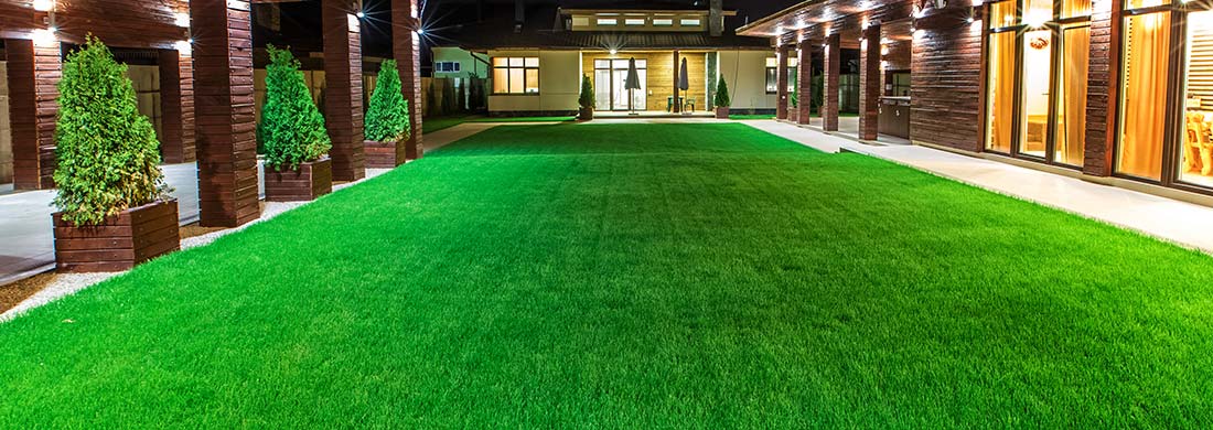 Artificial Grass