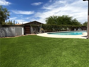 Photo 199